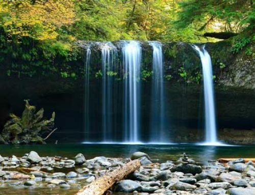 3 Steps to Get What You Want in Life